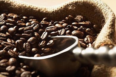 《怪物猎人：荒野》炎尾龙和波衣龙新情报